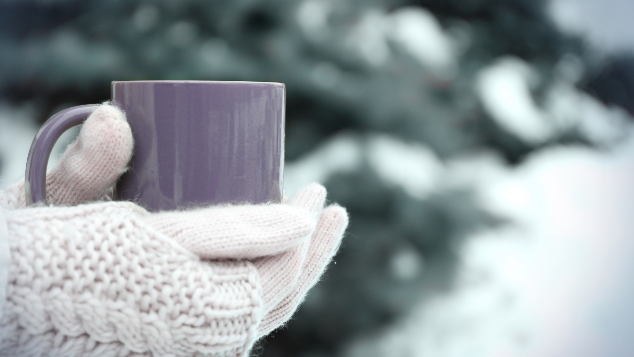 ウインタースクール開催のお知らせ